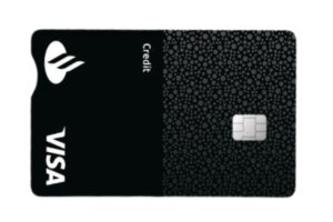 Santander Visa Silver Akcja Pajacyk