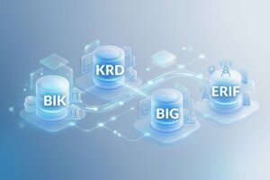 BIK, KRD, BIG i ERIF